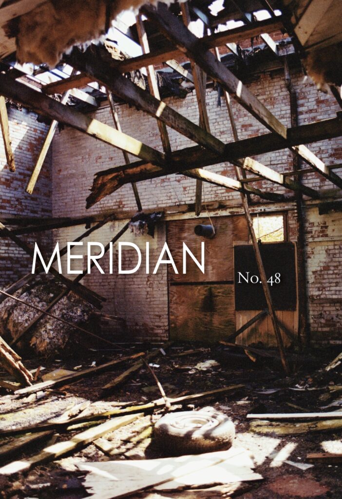 Meridian 48